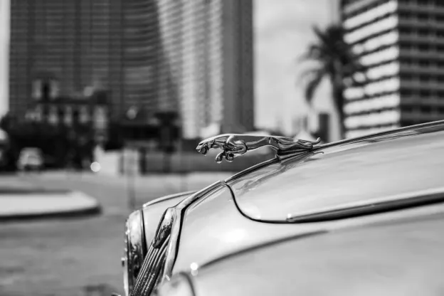 Kazoom Cassino Casino App Android/iOS